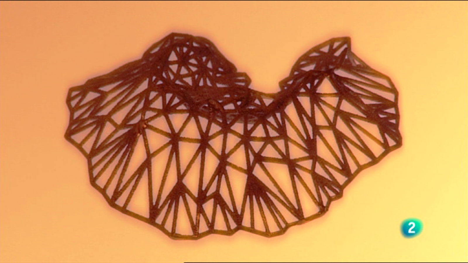 Fábrica de ideas - Invierte: Lotocoho | Ver