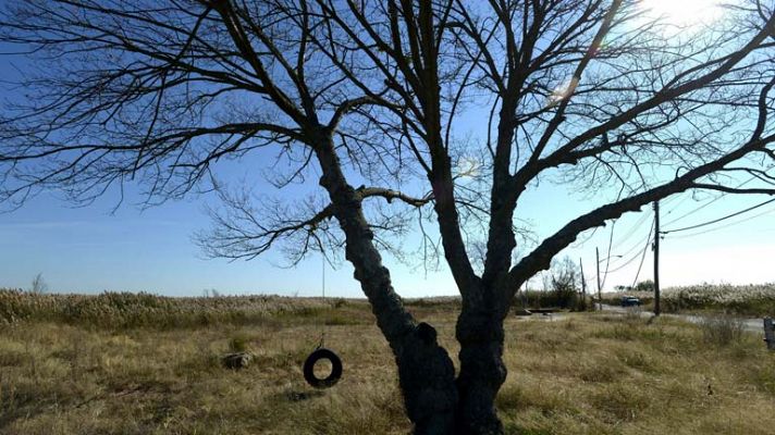 Un año del paso de "Sandy"