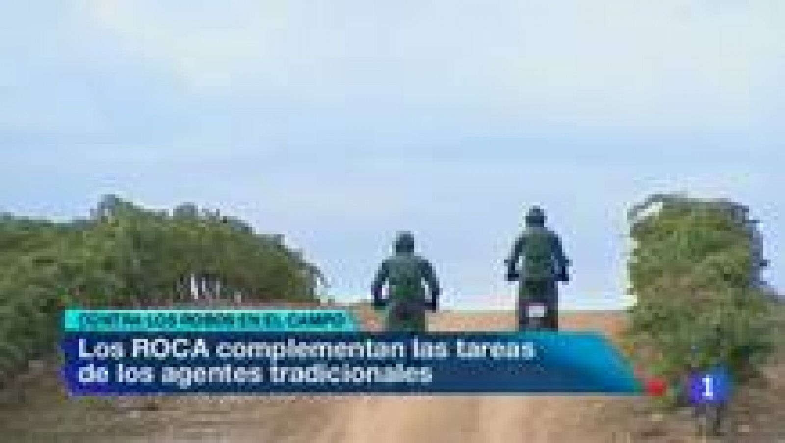 Noticias de Extremadura 2 - 29/10/13 | Ver