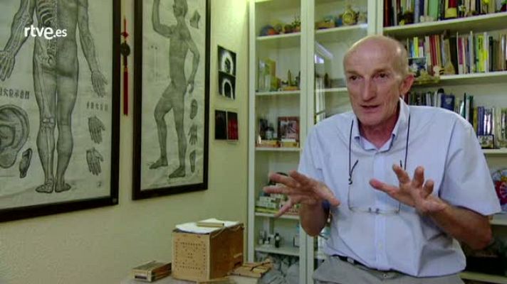 Crónicas - Aprendemos de las abejas