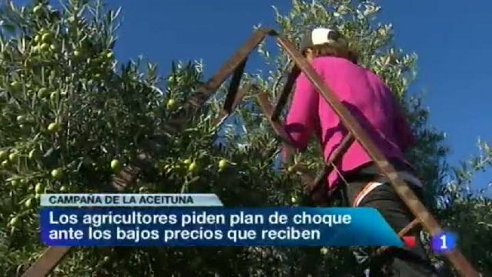 Noticias de Extremadura: Noticias de Extremadura - 30/10/13 | RTVE Play