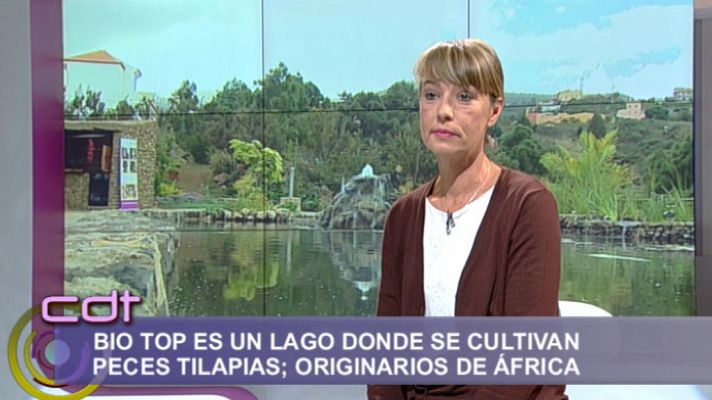 Cerca de ti - Cerca de ti - 30/10/13