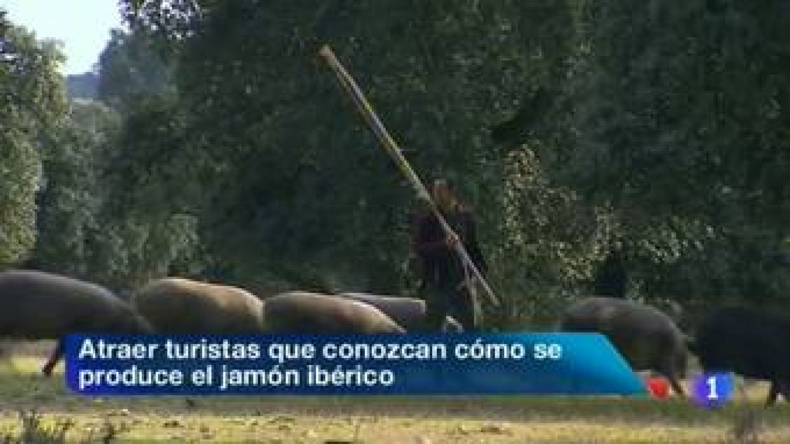 Noticias de Extremadura: Noticias de Extremadura - 31/10/13 | RTVE Play