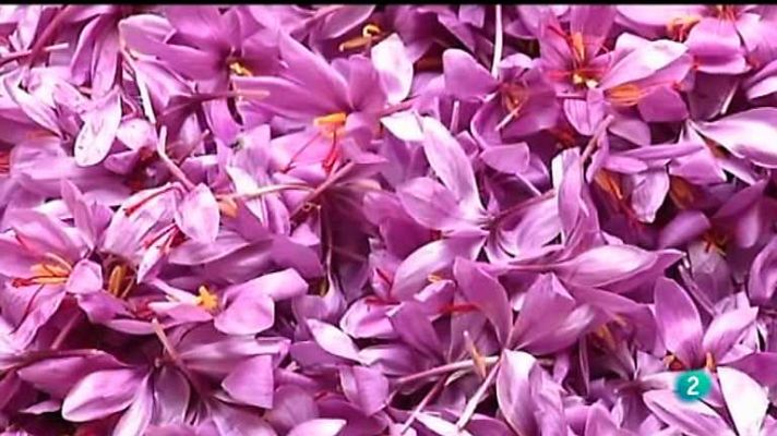 Agrosfera - Agrosfera - 02/11/13