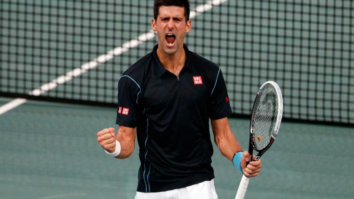 Djokovic saca billete para la final de París-Bercy
