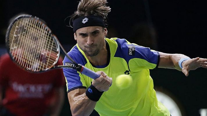 Ferrer se impone a Nadal y se mete en la final de Paris