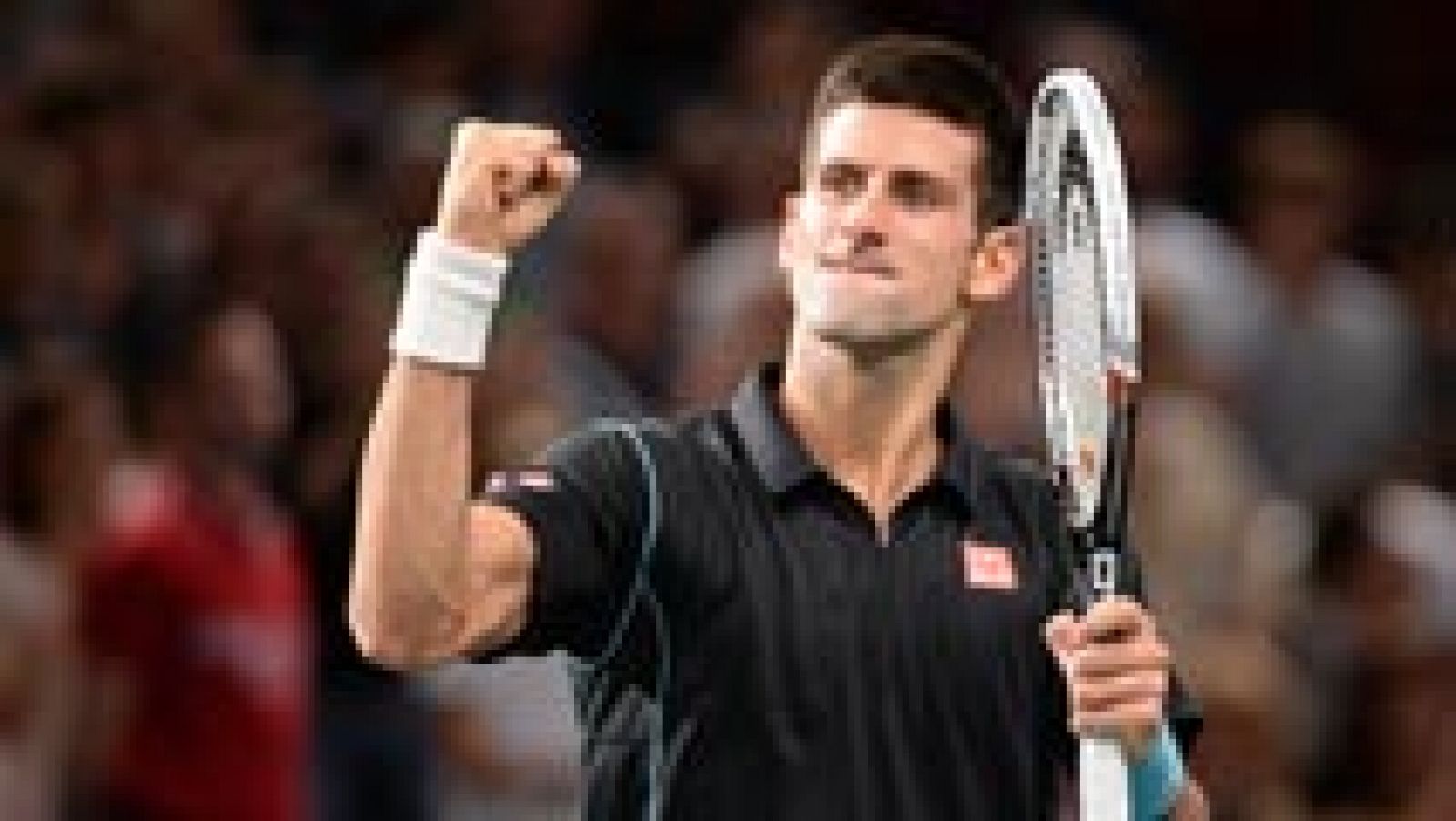 El serbio Novak Djokovic, número dos del mundo, remontó un set en contra el suizo Roger Federer para convertirse en el primer finalista del Masters 1.000 de París-Bercy, al imponerse por 4-6, 6-3 y 6-2 en algo más de dos horas de juego. 