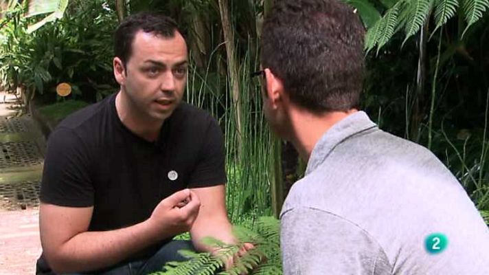 Buenas ideas TED - Creación