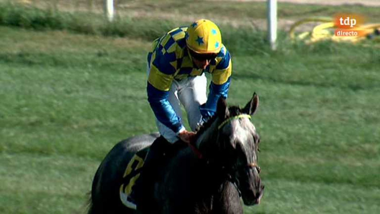 Turf - 03/11/13 - Ver ahora