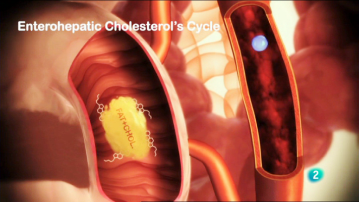 Fábrica de ideas - Imita: AB BIOTICS