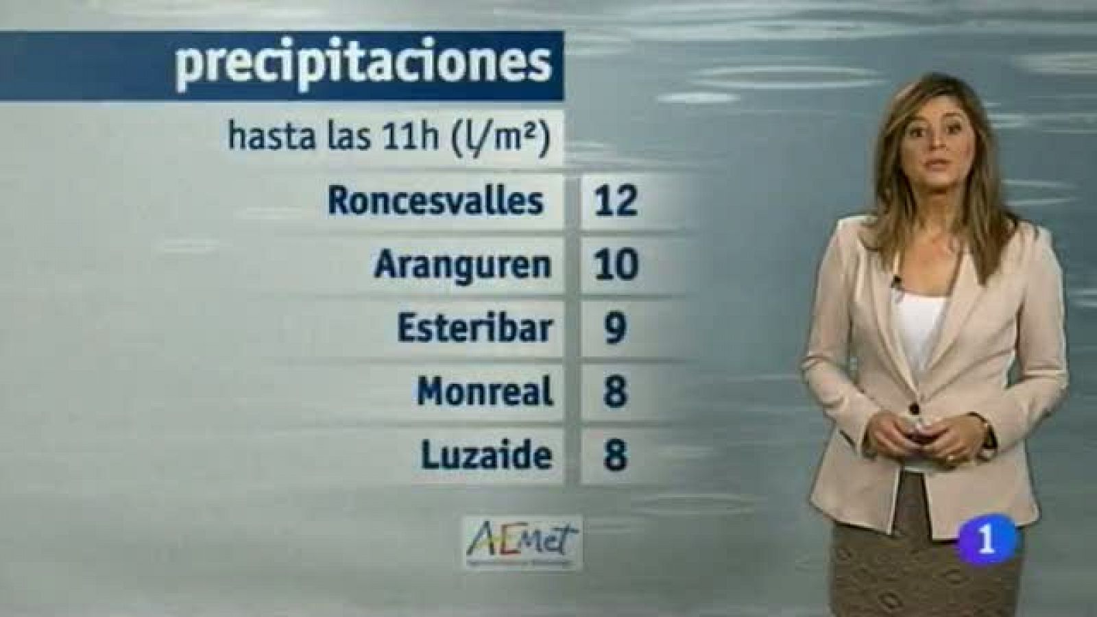 Telenavarra: El Tiempo en la Comunidad de Navarra - 04/11/2013 | RTVE Play