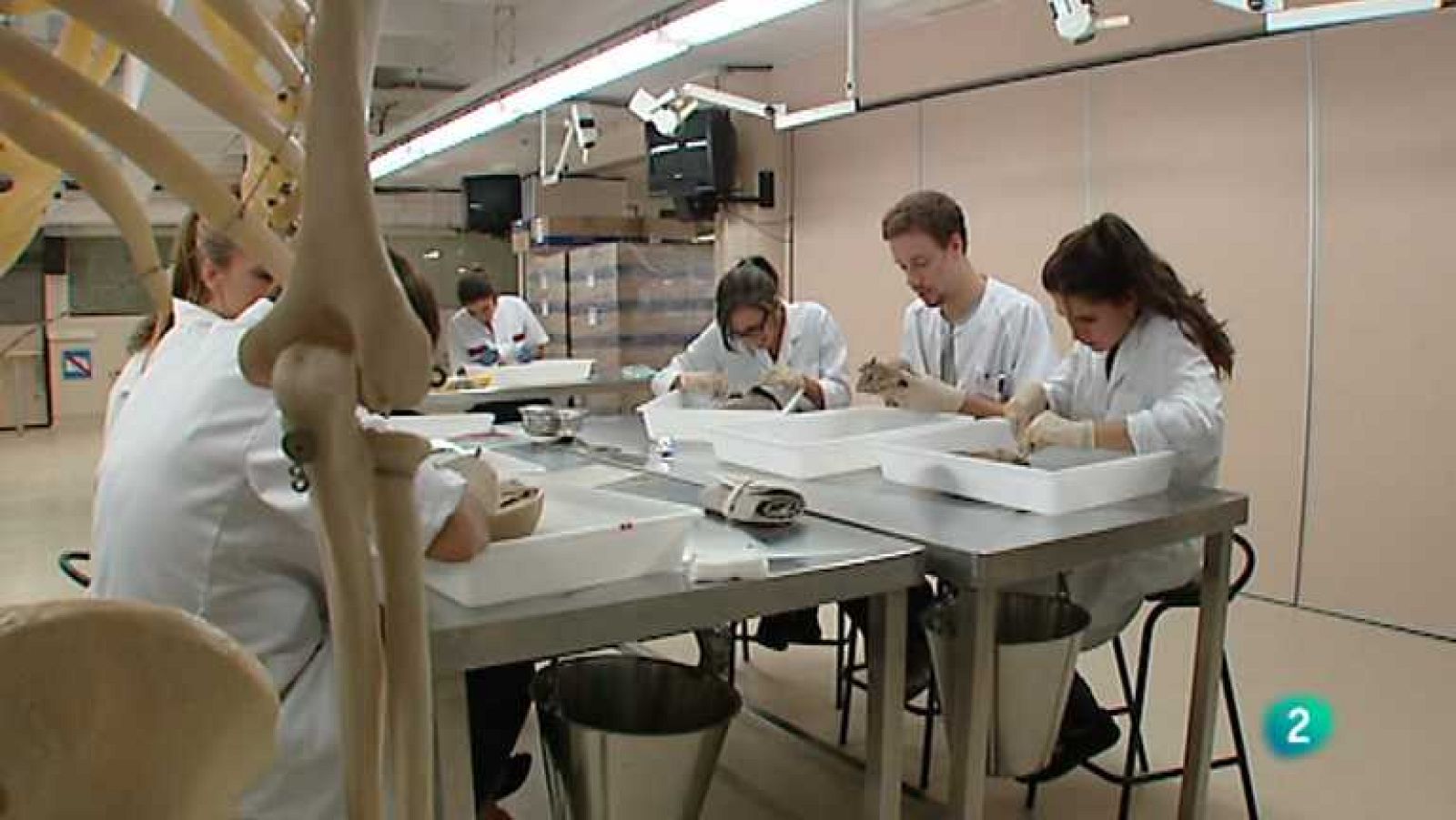 Para todos La 2 - 04/11/13 - ver ahora