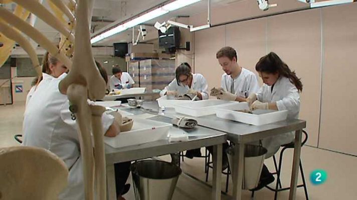 Para todos La 2 - Para todos La 2 - 04/11/13