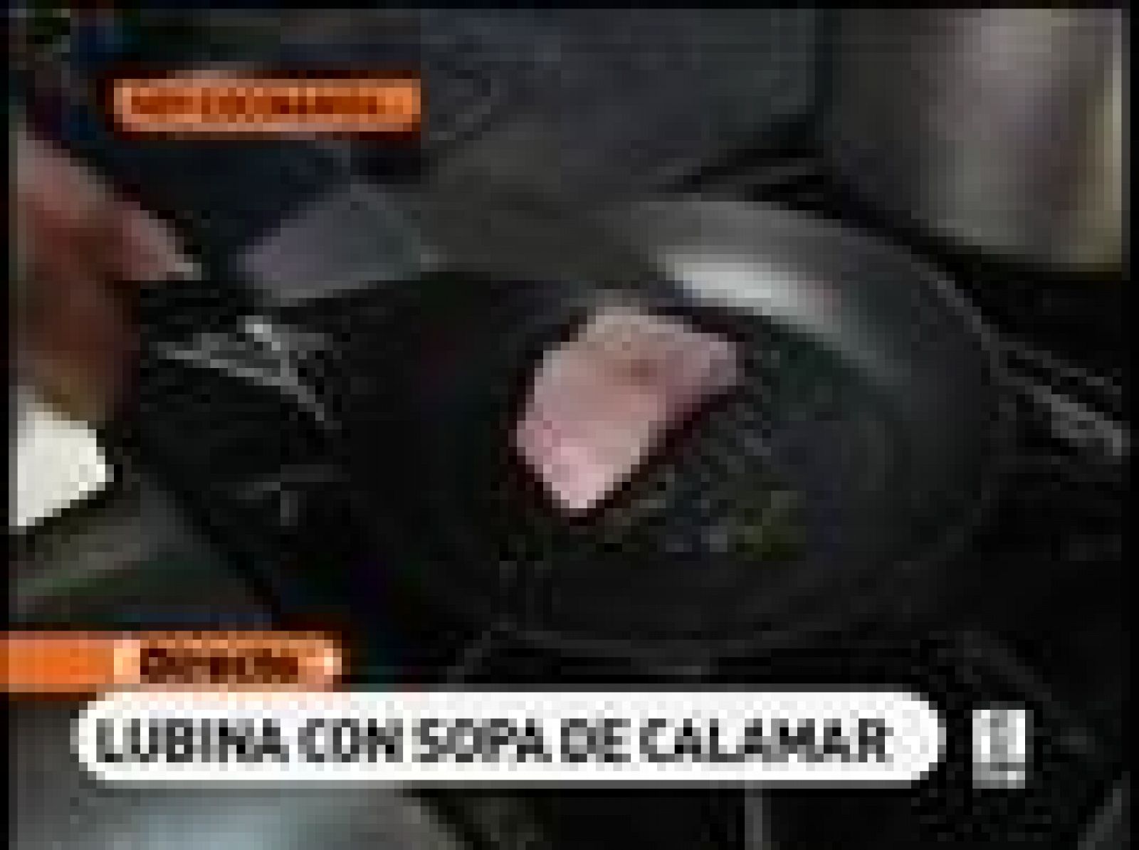 España Directo - Lubina con sopa de calamar - RTVE Cocina | Ver