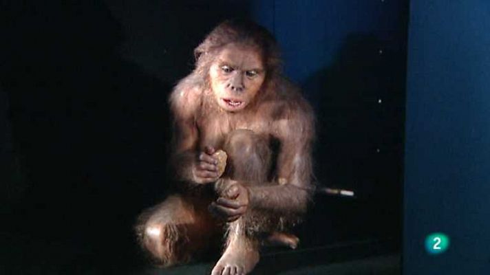 La aventura del Saber - La aventura del saber - 05/11/13