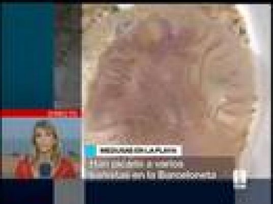  - Las medusas invaden Barcelona