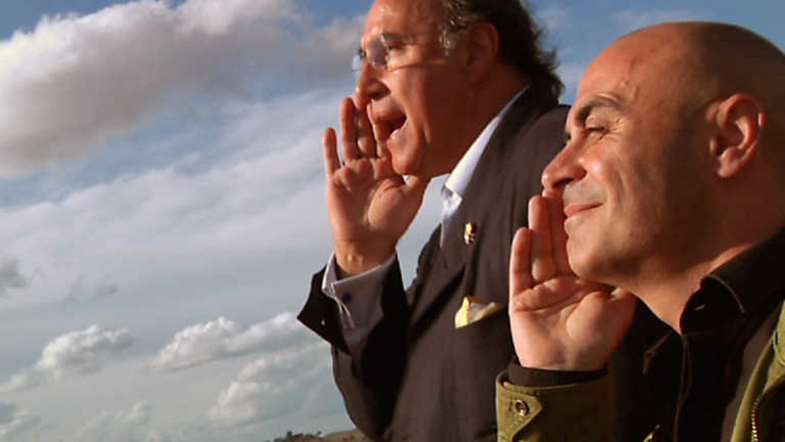 Sincronizados - Subastas - Ver ahora 