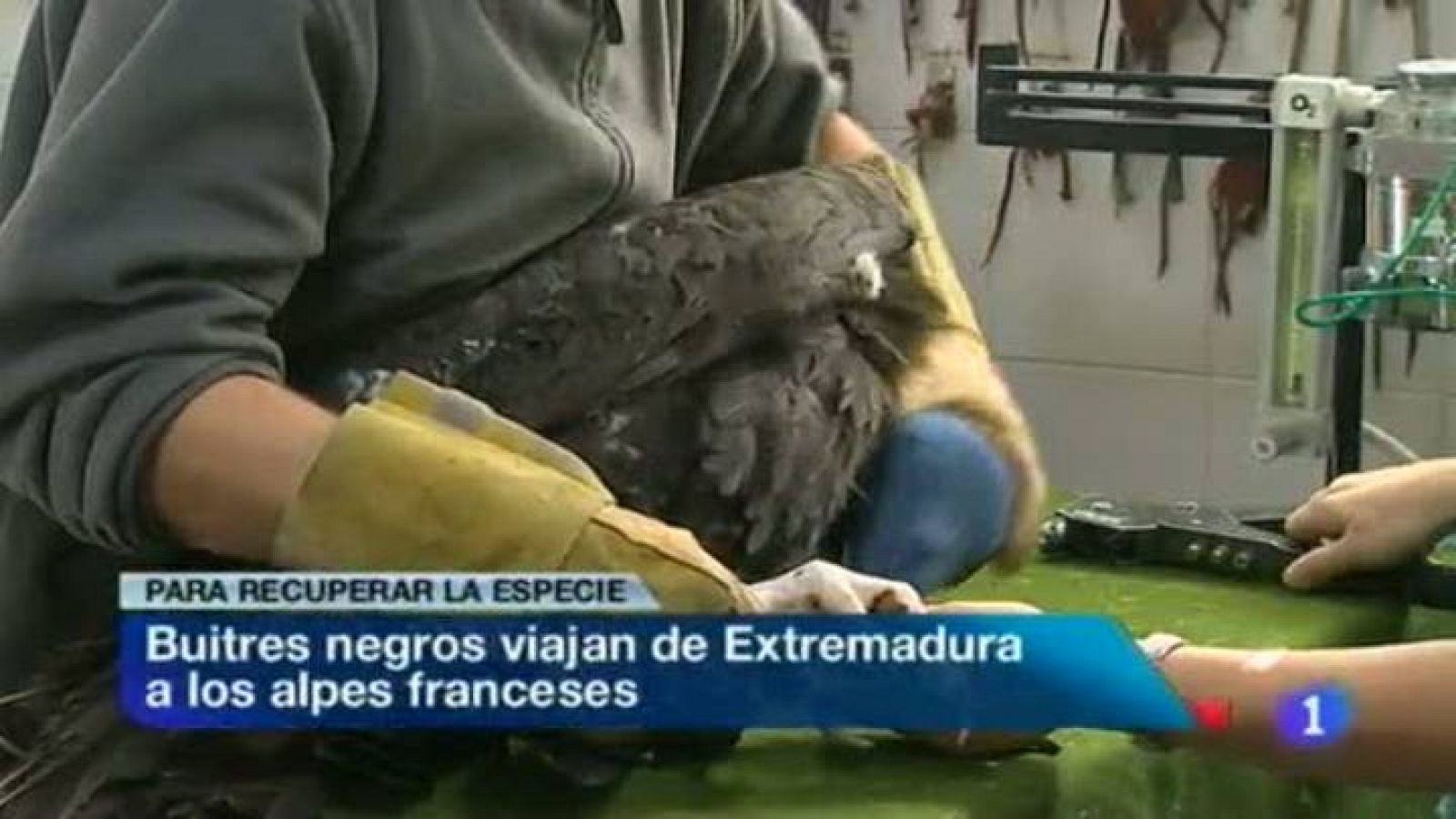 Noticias de Extremadura - 06/11/13 | Ver