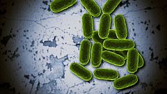 La Noche Temática - Derrotando a las superbacterias - Comienzo