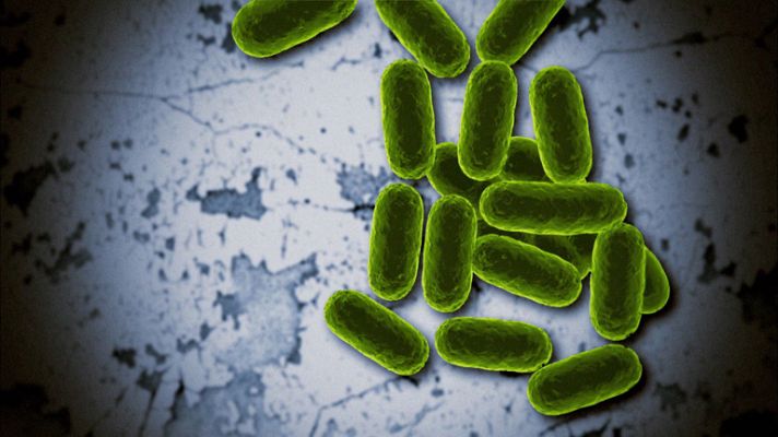 Derrotando a las superbacterias