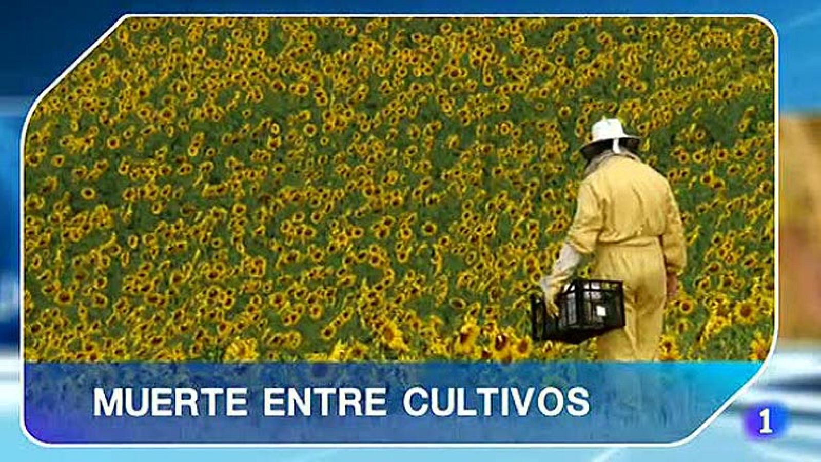 La abeja está en peligro, y con ella nuestro alimento