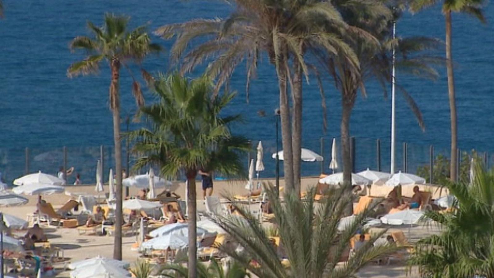 + Canarias - 07/11/13 - +Canarias | Ver