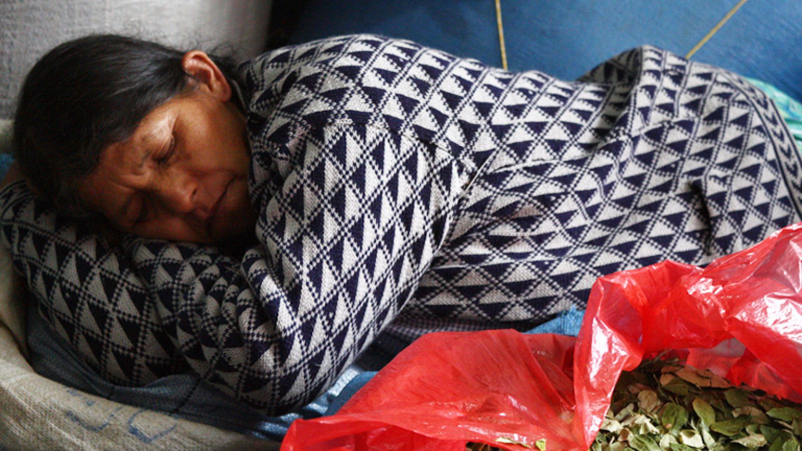 En Portada - Los caminos de la coca - Avance