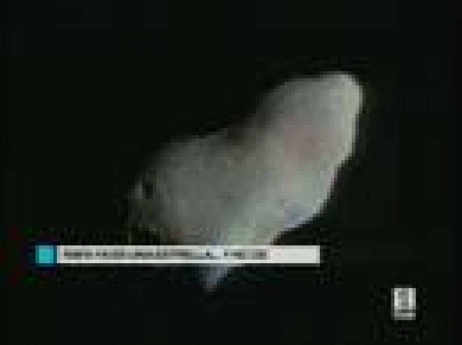 La Unión Astronómica Internacional (IAU) ha acordado ponerle el nombre de Rafael Nadal al asteroide 128036 que el Observatorio Astronómico de Mallorca (OAM) descubrió en 2003.