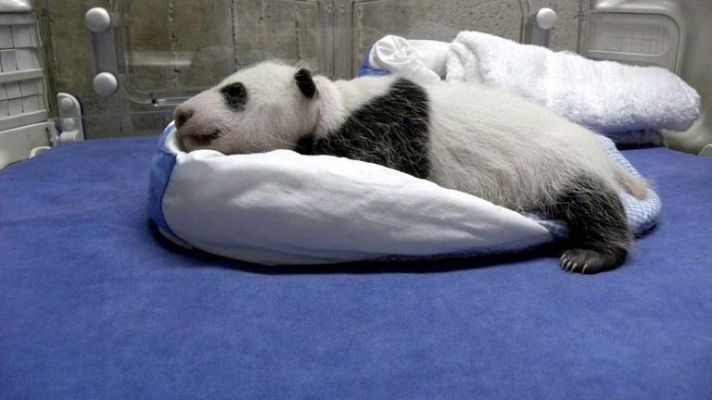 Informativo de Madrid - Informativo de Madrid - 08/11/13