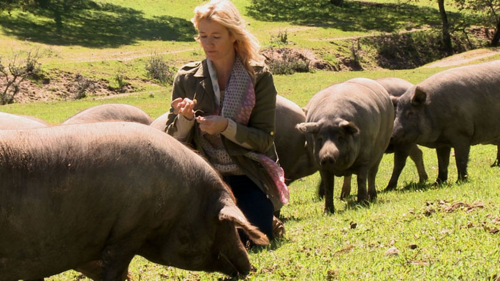 'Un país para comérselo' llega a Cáceres