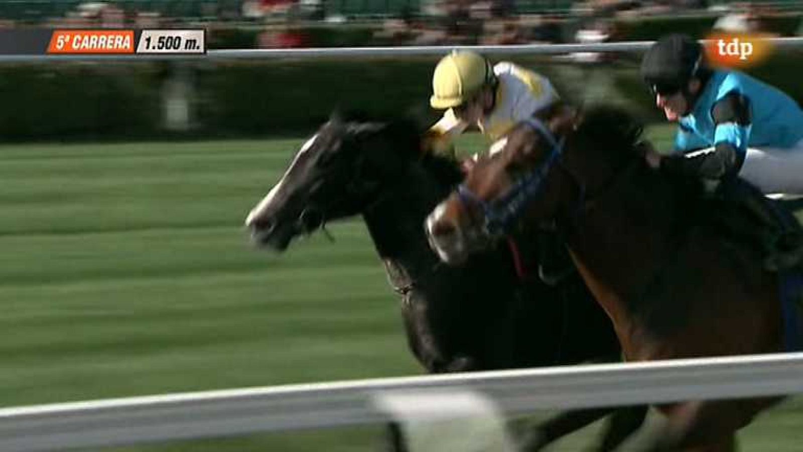 Turf - 10/11/13 - Ver ahora