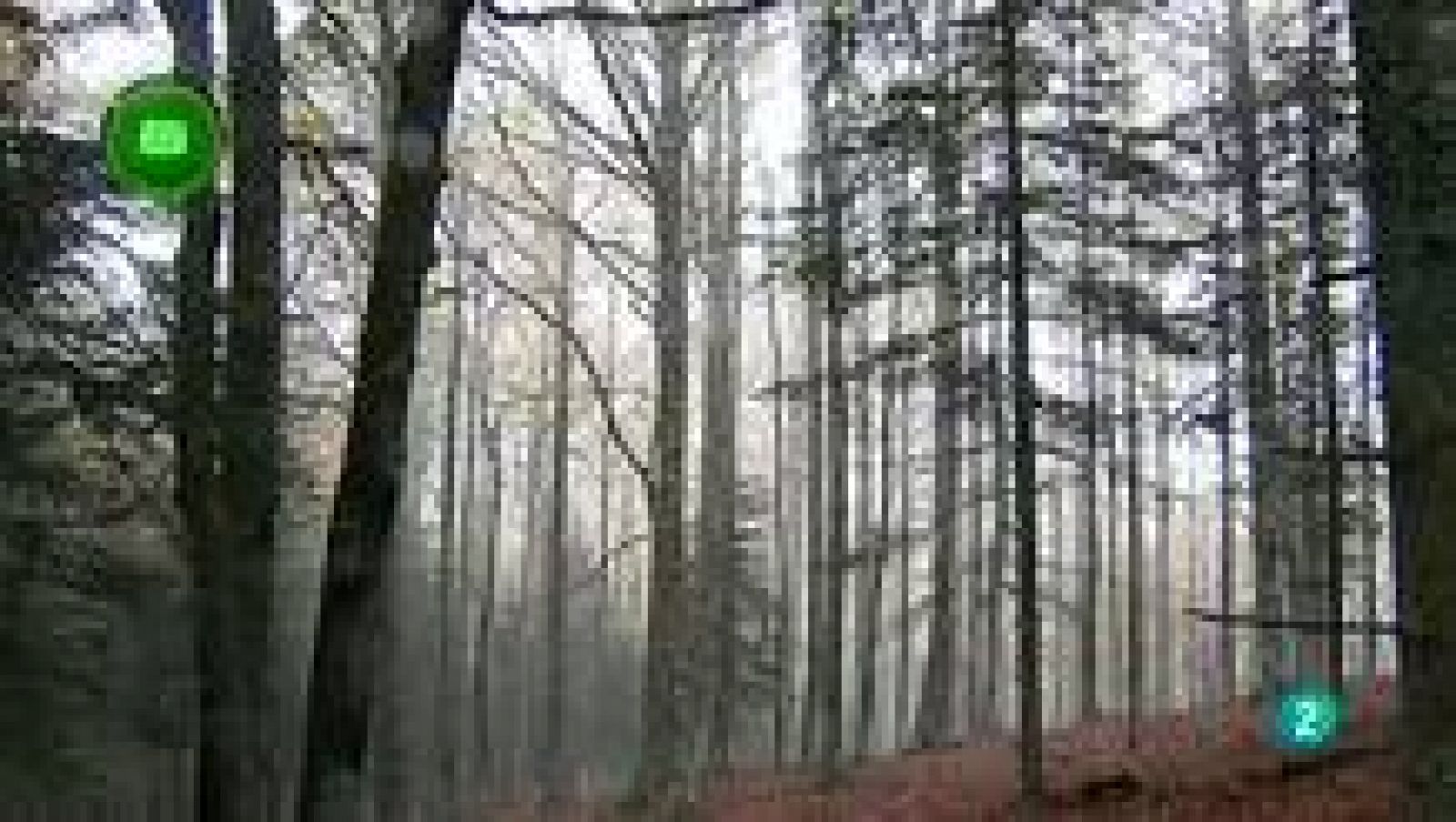 Agrosfera - En clave rural - Selva de Irati