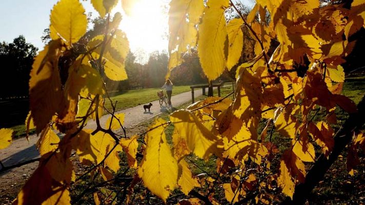 Informativo de Madrid - El tiempo en la Comunidad de Madrid - 11/11/13