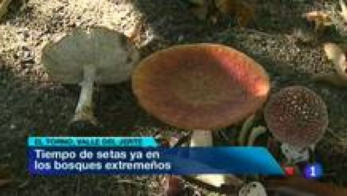 Noticias de Extremadura - 11/11/13
