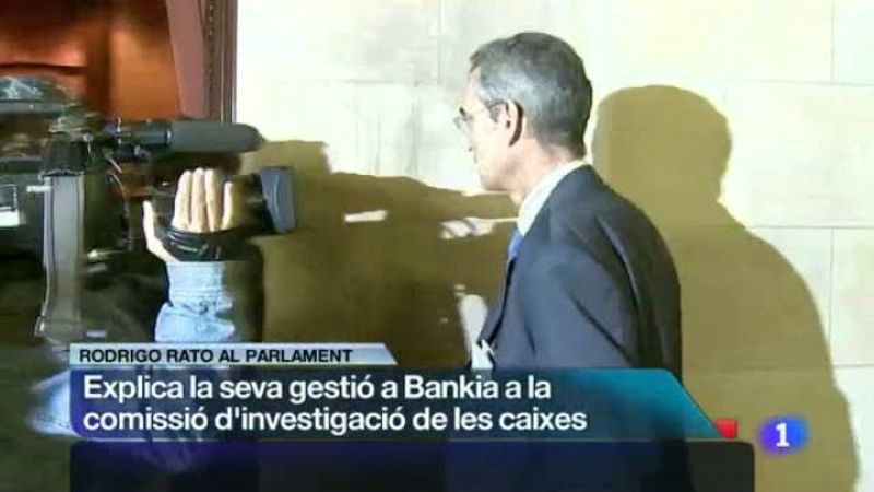 L'Informatiu - 11/11/2013