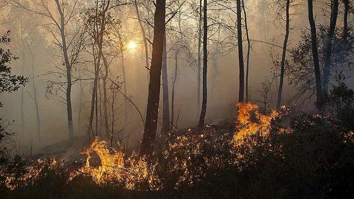 El incendio en la comarca de Baix Ampurdà, Girona, afecta a un perímetro de mil hectáreas