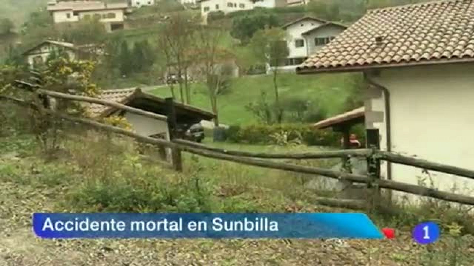 Telenavarra en 2' -12/11/2013 | Ver