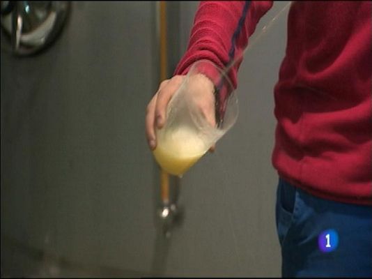 Panorama Regional - Panorama Regional - 12/11/13