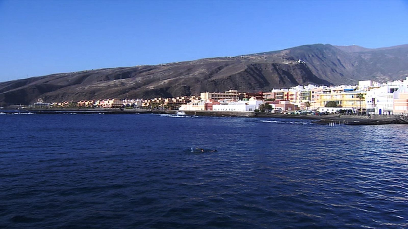 El tiempo en Canarias - 12/11/13 | Ver