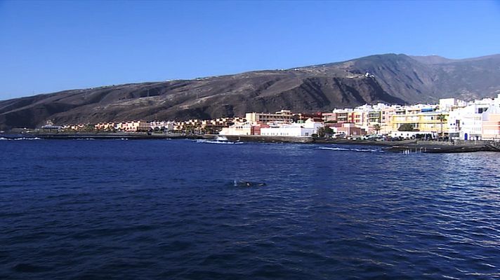 Telecanarias - El tiempo en Canarias - 12/11/13