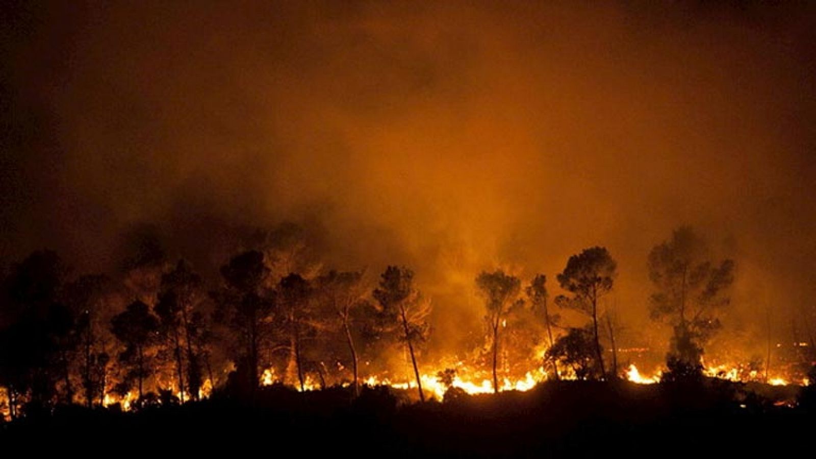 Telediario 1: Los bomberos dan por estabilizado el incendio del Baix Ampurdá en Girona | RTVE Play