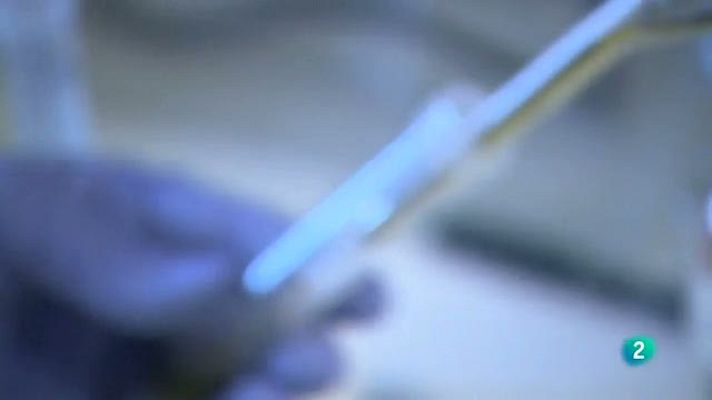 Aquí hay trabajo - Crowdfunding para la ciencia