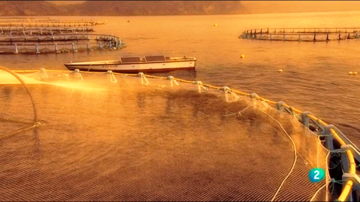 Fábrica de ideas - Imita: Proyecto Selfdott