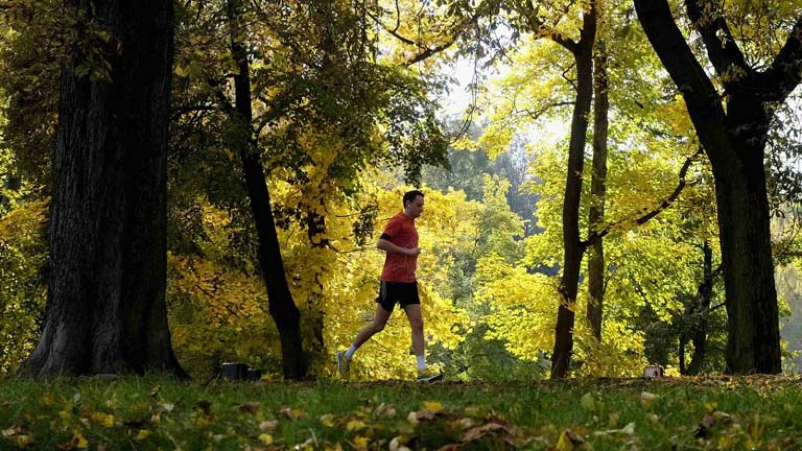 El tiempo en la Comunidad de Madrid - 13/11/13