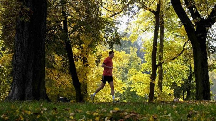 Informativo de Madrid - El tiempo en la Comunidad de Madrid - 13/11/13