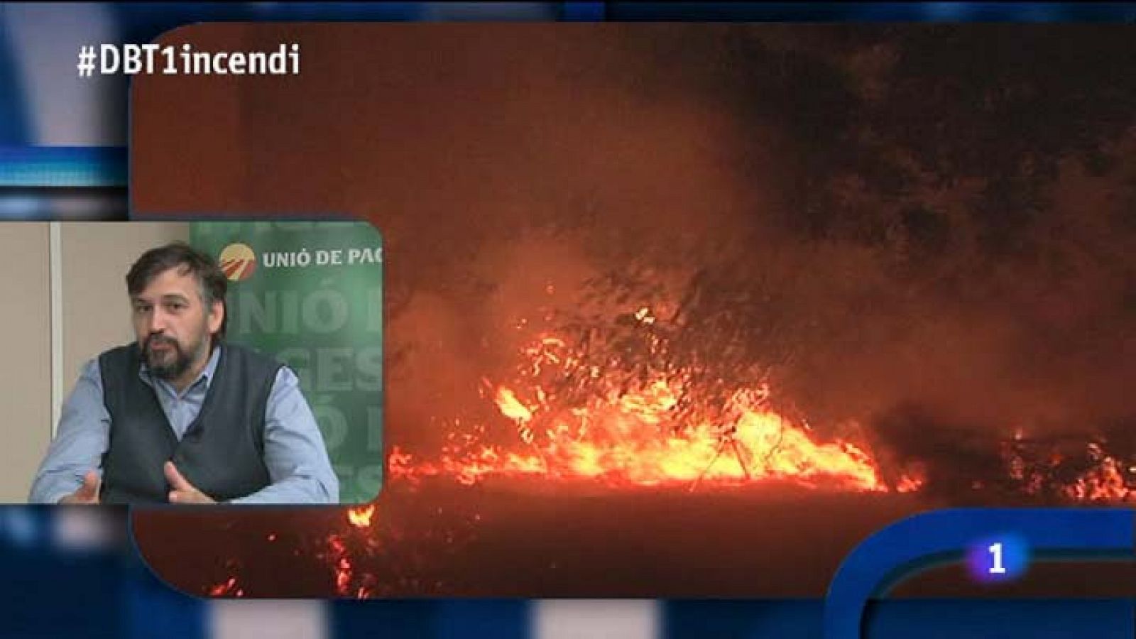 El debat de La 1: Els incendis del Baix Empordà | RTVE Play