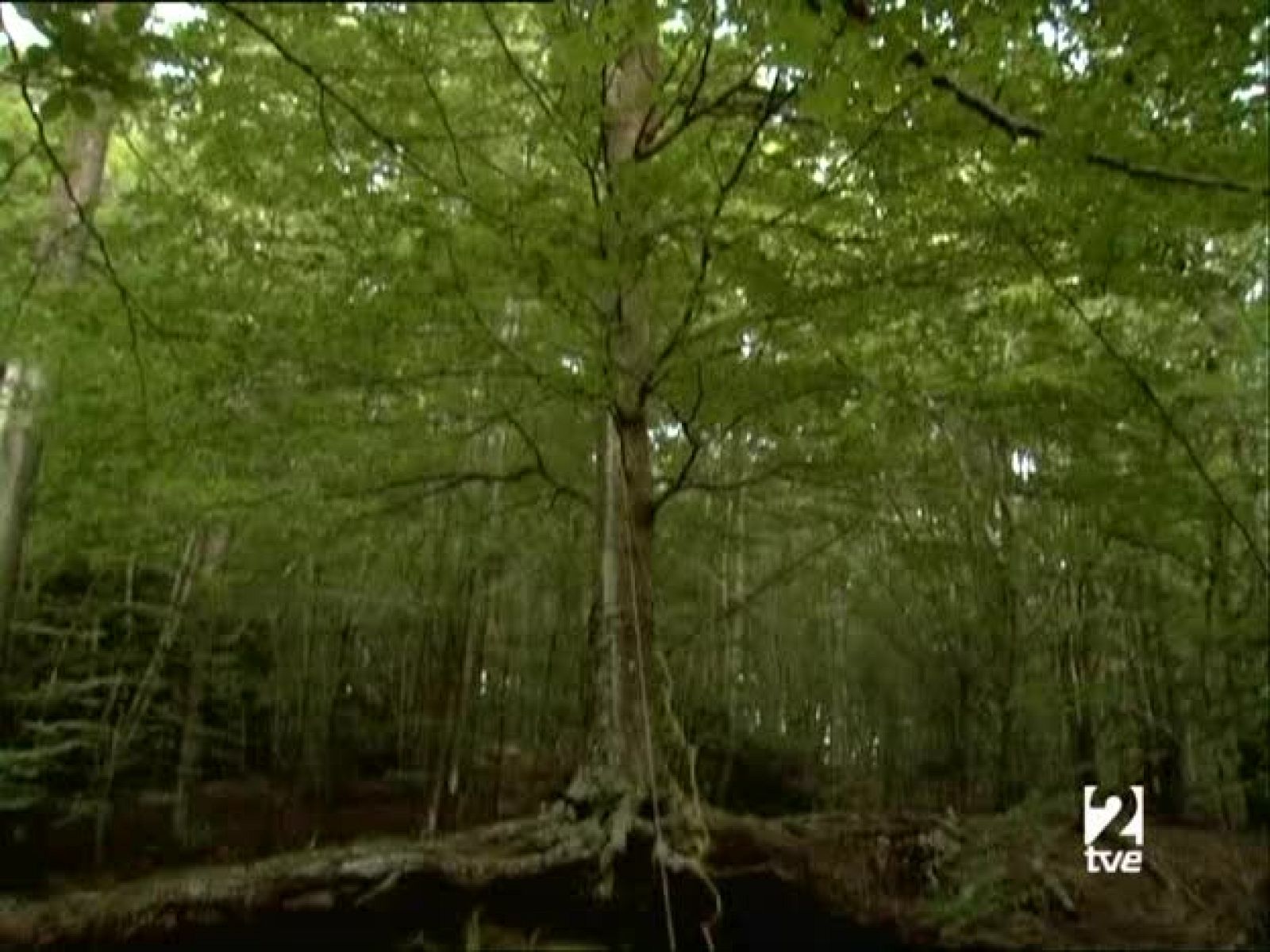 Metrópolis - Dibujamos 2. España - Metrópolis | Ver