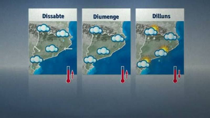 El Temps - 14/11/2013