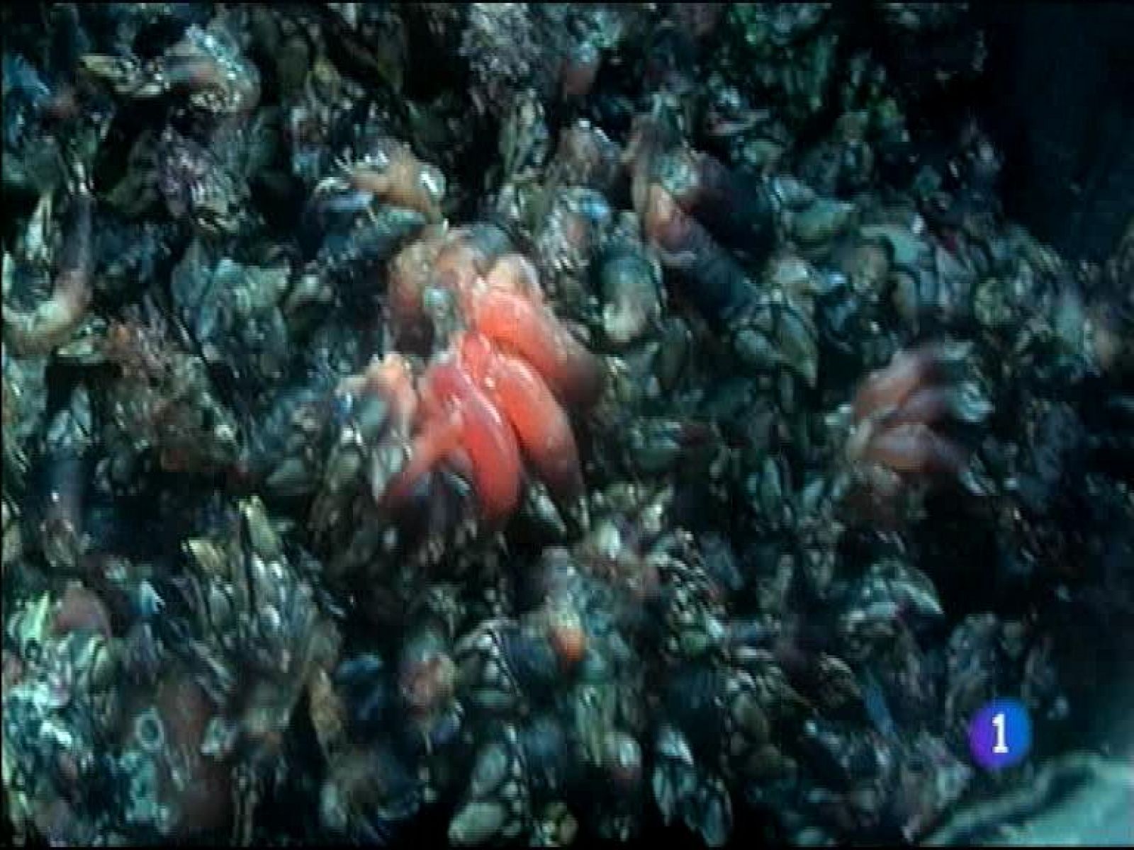 Panorama Regional - 14/11/13 | Ver