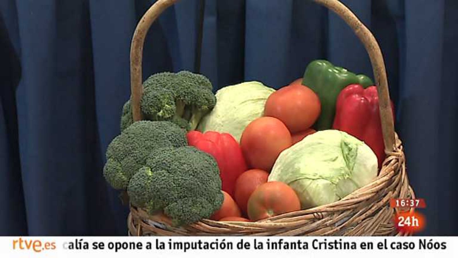 España en 24 horas - 14/11/13 - Ver ahora